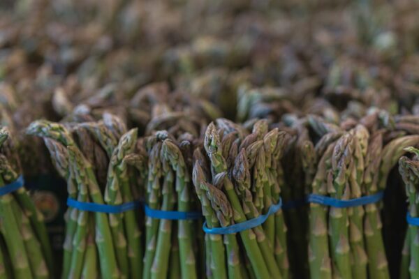 The Blood Sugar Control Diet: An Evidence-Based Guide to Stabilizing Glucose Through Food