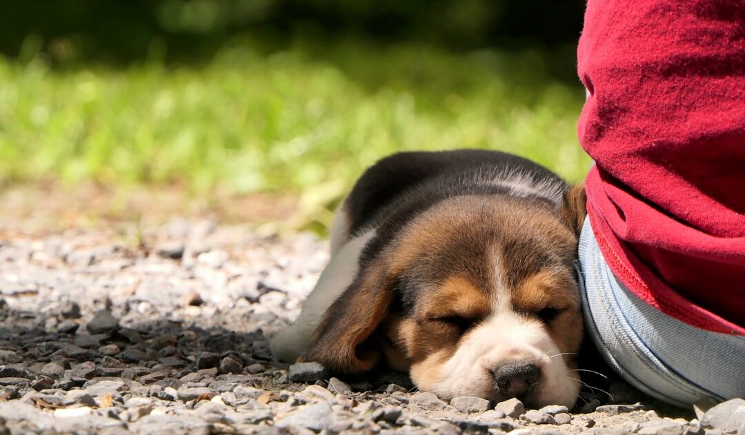 What Sleep Deprivation Effects Do to Your Body, According to Science