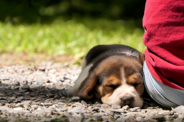 What Sleep Deprivation Effects Do to Your Body, According to Science